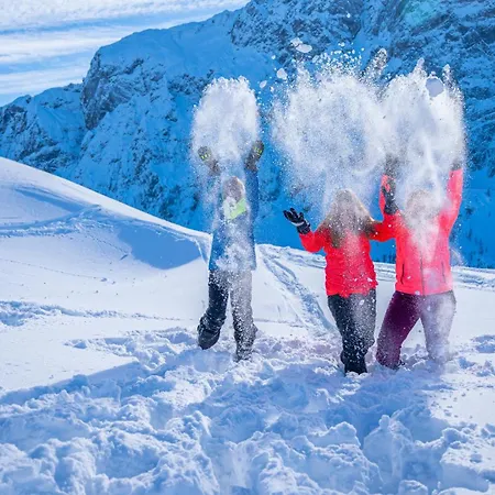 Ferienpark Europarcs Pressegger 3*